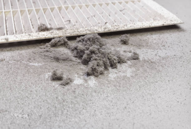 Best Commercial Air Duct Cleaning  in Loudonville, OH